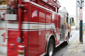 IMG_4409 IMG_4409