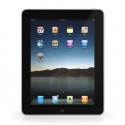 My Thoughts on Paddie (My New iPad)