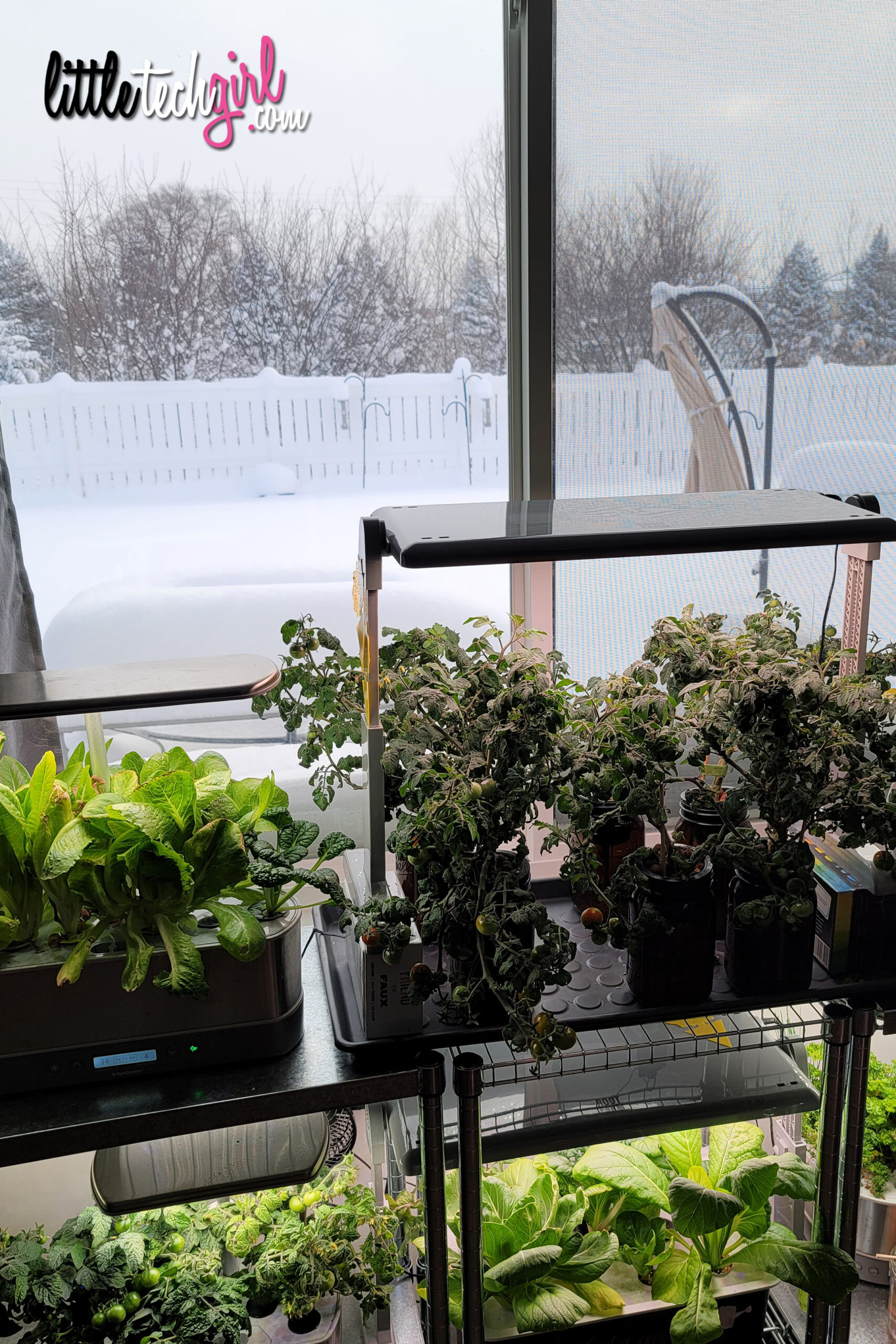 Indoor Garden Hydroponics Winter Snow Growing